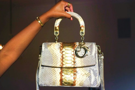 Be Dior Python Bag