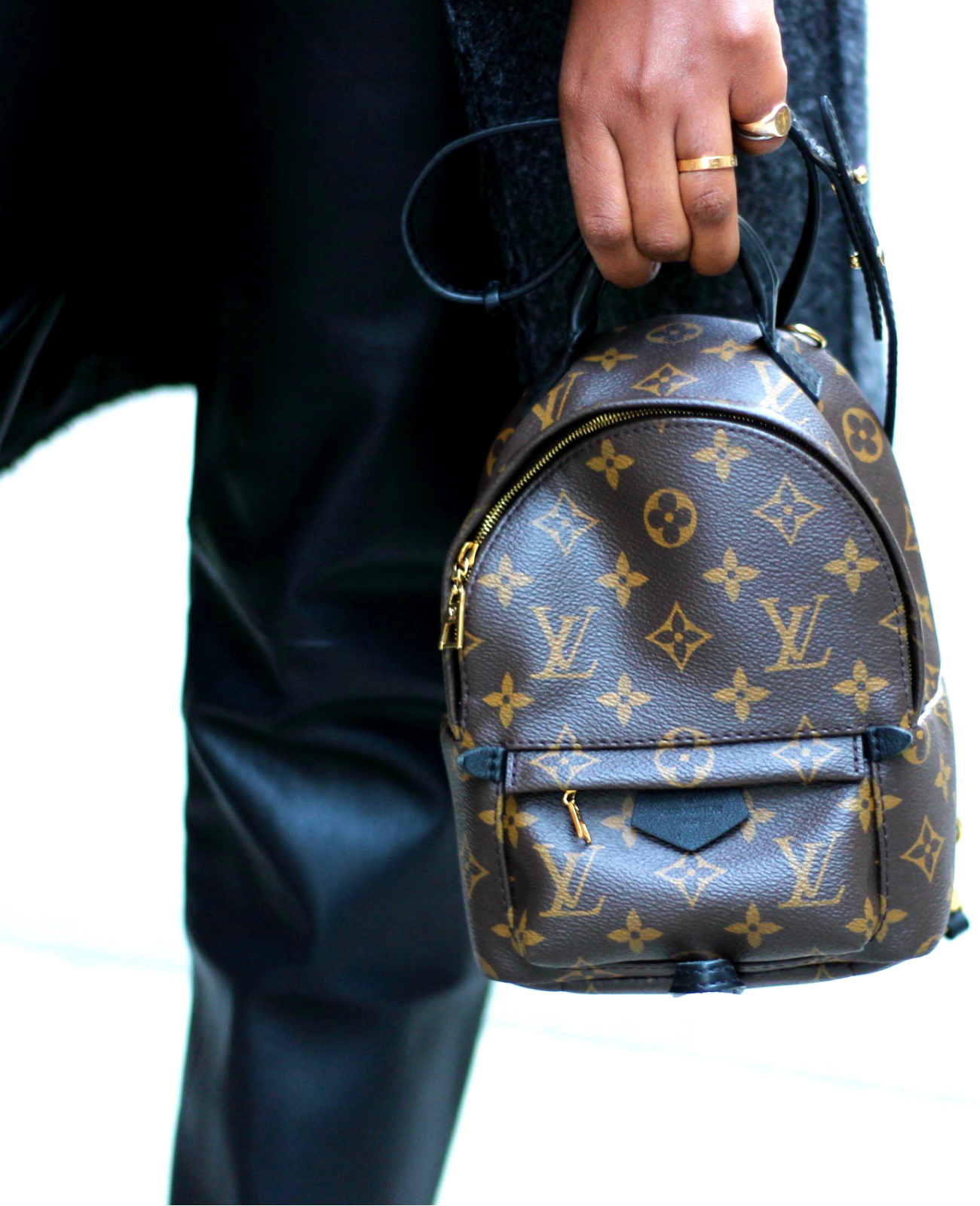 Louis Vuitton Mini Palm Springs backpack